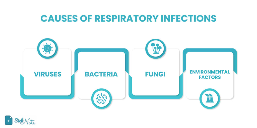 Respiratory Infections Causes infographic