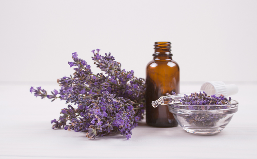 Lavender Oil