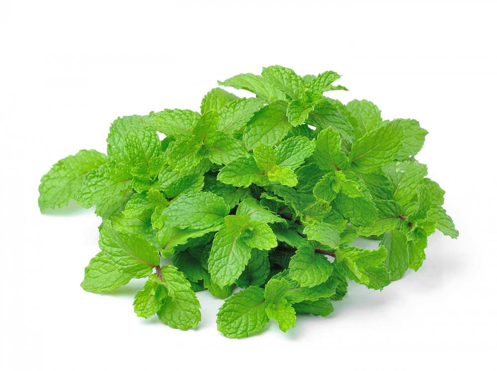 Peppermint