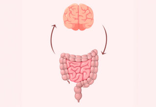 Brain-Gut Connection