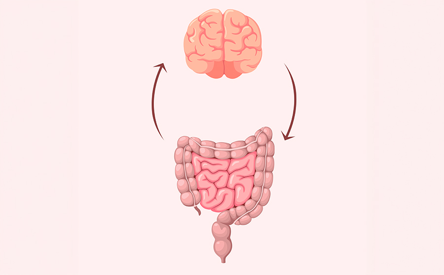Brain-Gut Connection